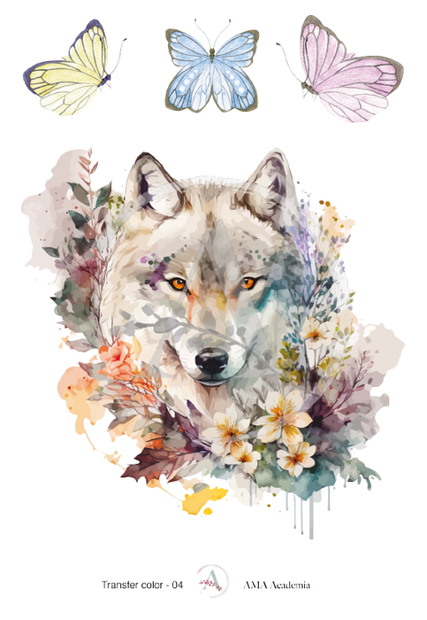 TC-04 TRANSFER COLOR 20X30