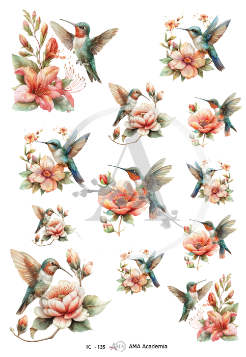TC-135 TRANSFER COLOR 20X30