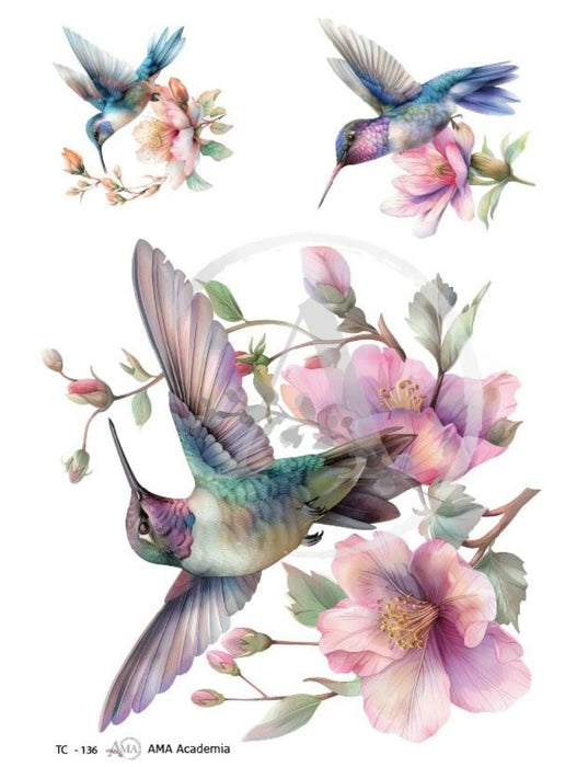 TC-136 TRANSFER COLOR 20X30