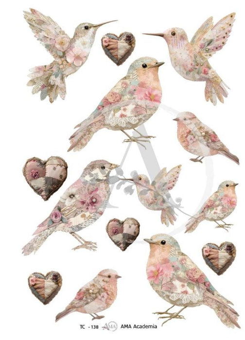 TC-138 TRANSFER COLOR 20X30