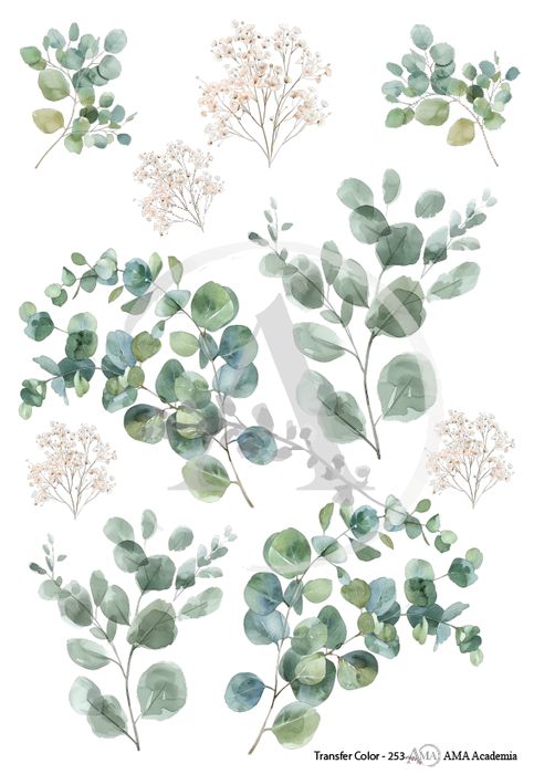 TC-253 TRANSFER COLOR 20X30