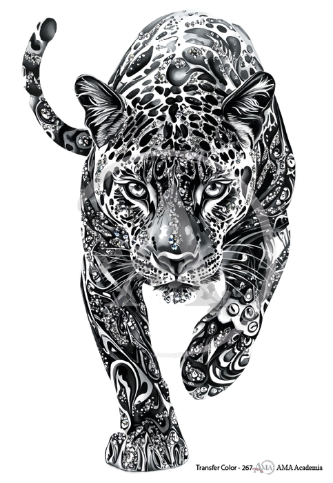 TC-267 TRANSFER COLOR 20X30