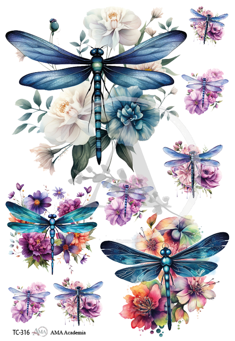 TC-316 TRANSFER COLOR 20X30