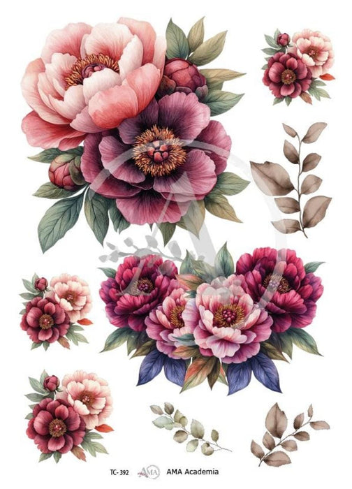 TC-392 TRANSFER COLOR 20X30