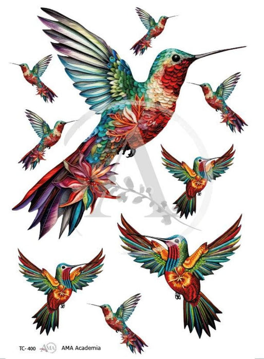 TC-400 TRANFER COLOR 20X30