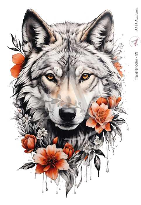 TC-53 TRANSFER COLOR 20X30
