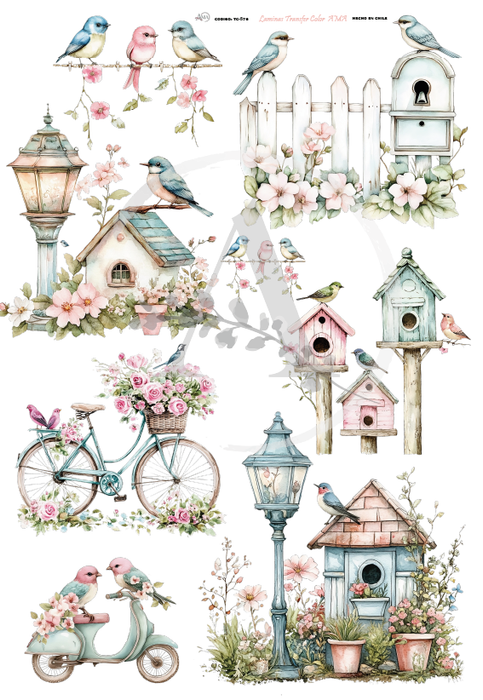 TC-576 TRANSFER COLOR 20X30