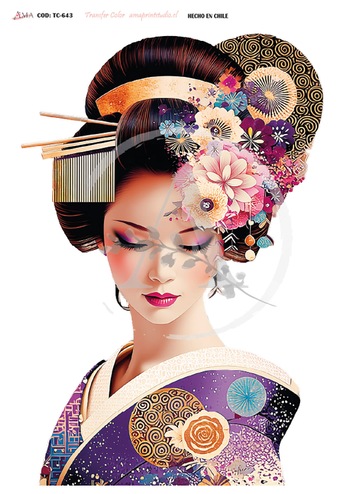 TC-643 TRANSFER COLOR 20X30