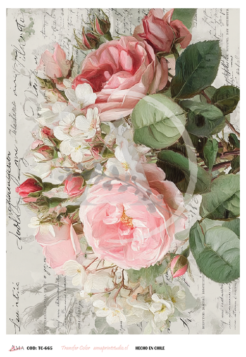 Lamina Transfer Color 20x30 cm – TC-664 Transferencia Decorativa para Decoupage y Manualidades