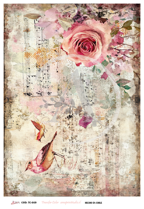 Lámina Transfer Color 20x30 cm – TC-669 Transferencia Decorativa para Decoupage y Manualidades