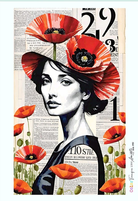 CT1066 COLOR TRANSFER 20X30