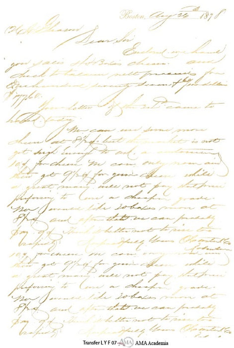 TLYF07 TRANSFER COLOR 20X30