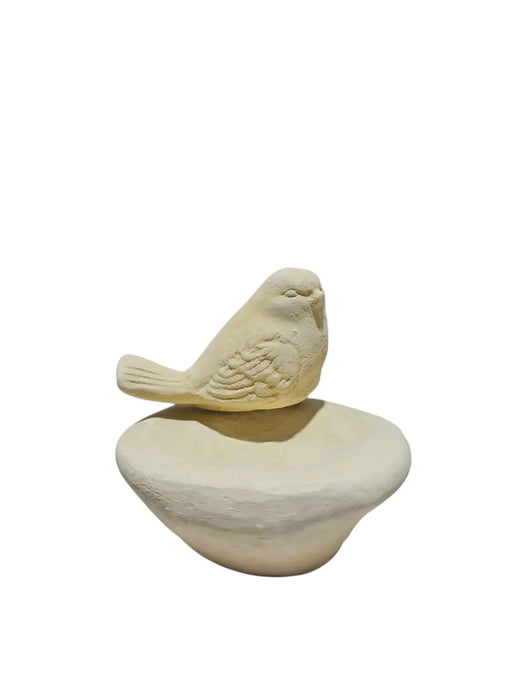 OTO136 PAJARO PILETA 10X10