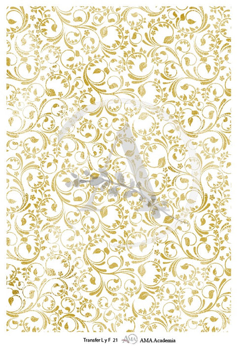 TLYF21 TRANSFER COLOR 20X30