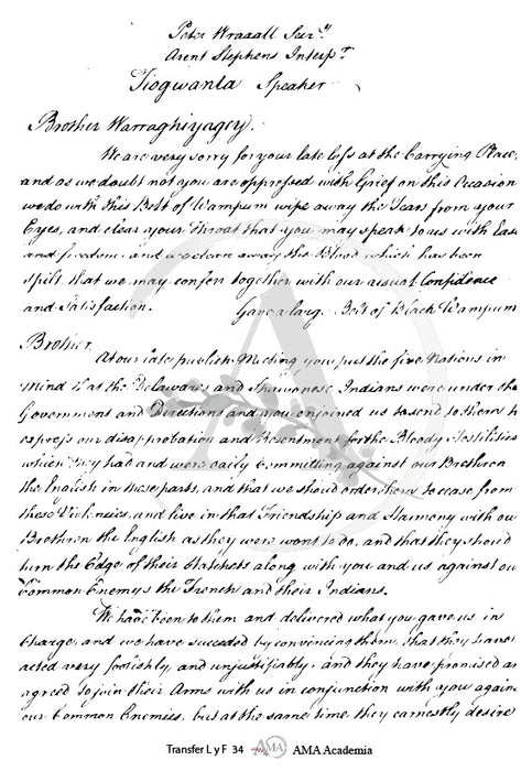 TLYF34 TRANSFER COLOR 20X30