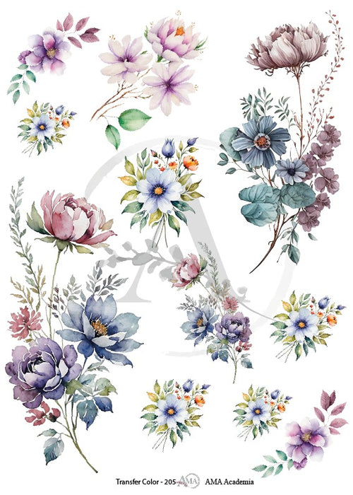TC-205 TRANSFER COLOR 20X30