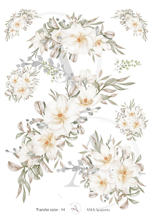 TC-14 TRANSFER COLOR 20X30