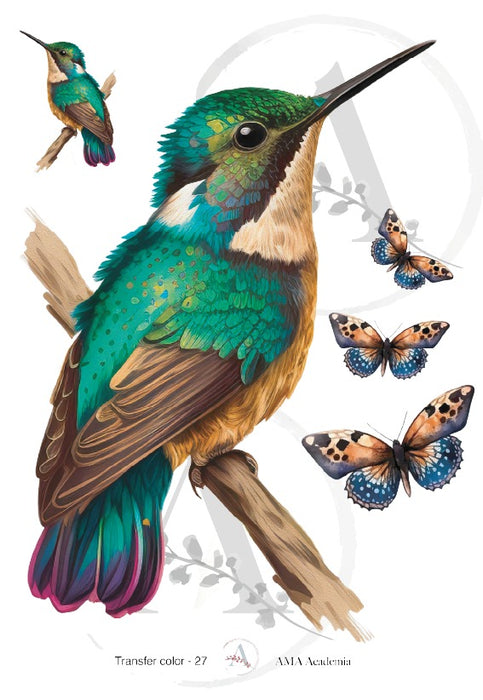 TC-27 TRANSFER COLOR 20X30