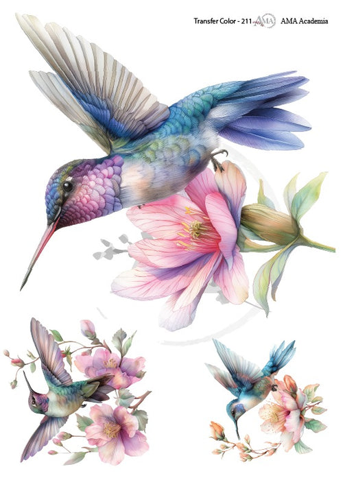 TC-211 TRANSFER COLOR 20X30