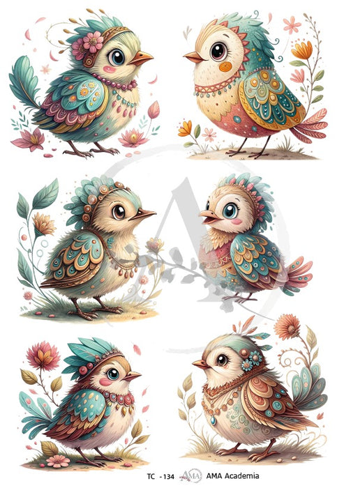 TC-134 TRANSFER COLOR 20X30