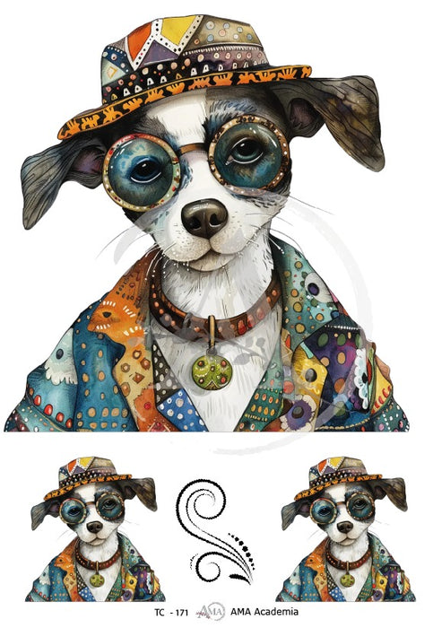 TC-171 TRANSFER COLOR 20X30