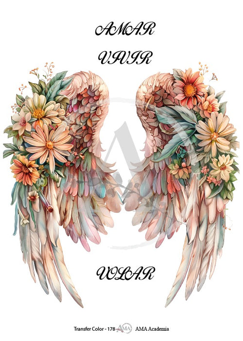 TC-178 TRANSFER COLOR 20X30