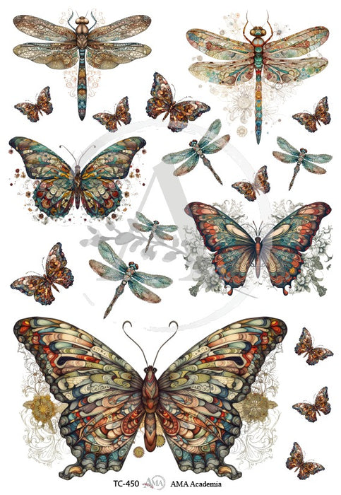 TC-450 TRANSFER COLOR 20X30