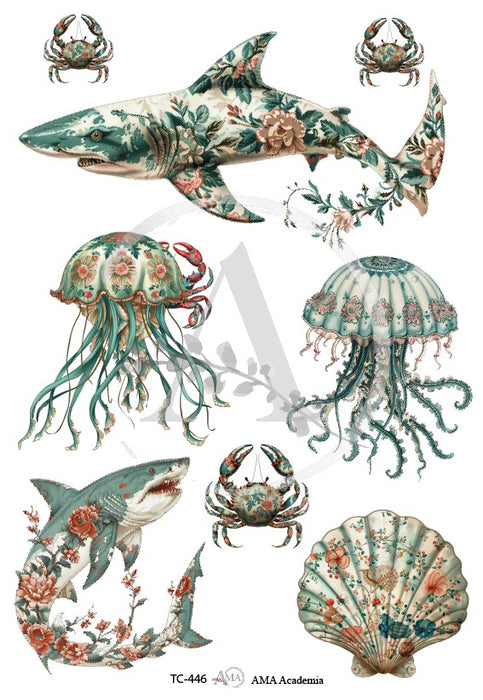 TC-446 TRANSFER COLOR 20X30