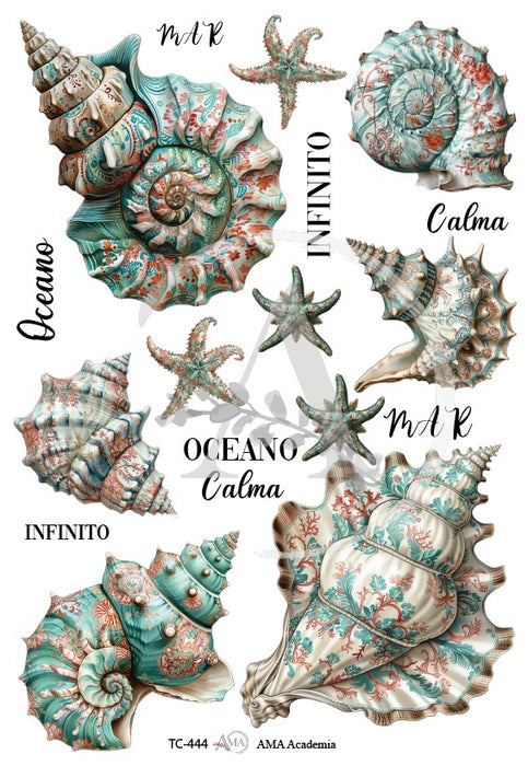 TC-444 TRANSFER COLOR 20X30