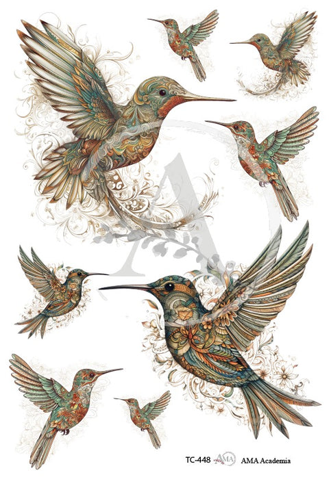 TC-448 TRANSFER COLOR 20X30