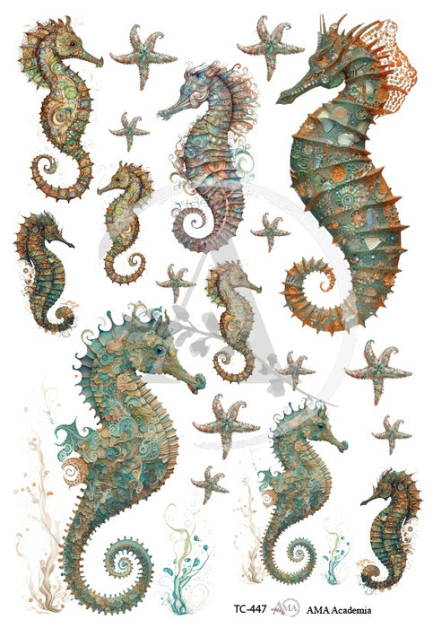 TC-447 TRANSFER COLOR 20X30