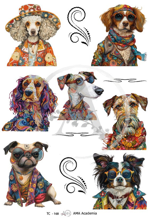 TC-168 TRANSFER COLOR 20X30