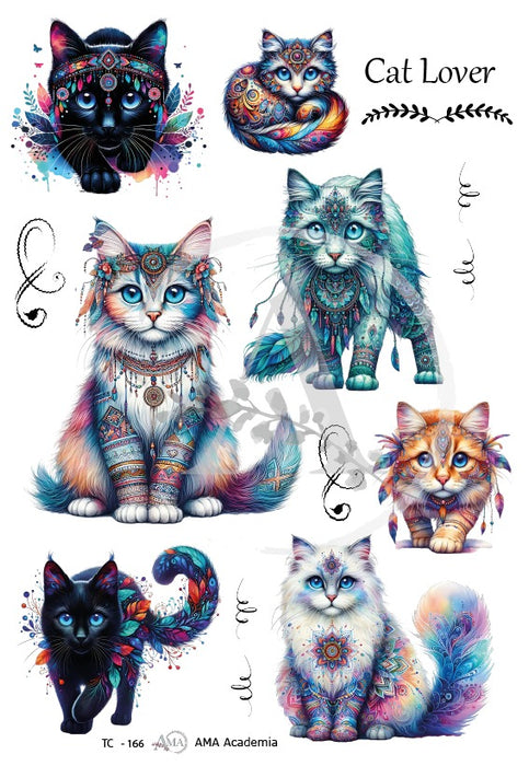 TC-166 LAMINA DE TRANSFERENCIA