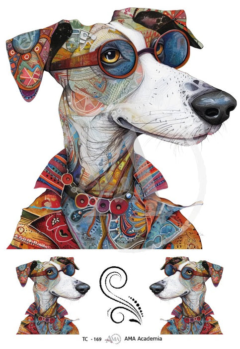 TC-169 TRANSFER COLOR 20X30