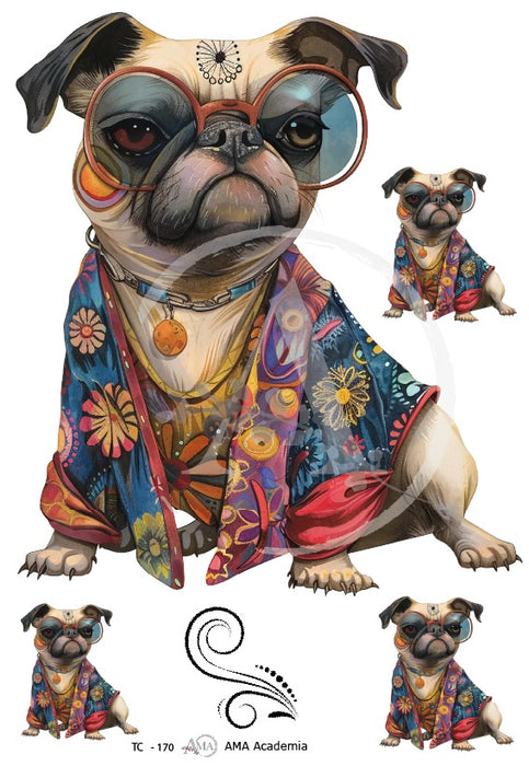 TC-170 TRANSFER COLOR 20X30