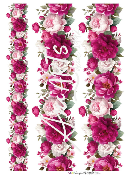 CTG-0063 LAMINA TRANSFER 42X31