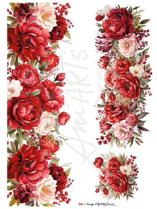 CTG-0062 LAMINA TRANSFER 42X31