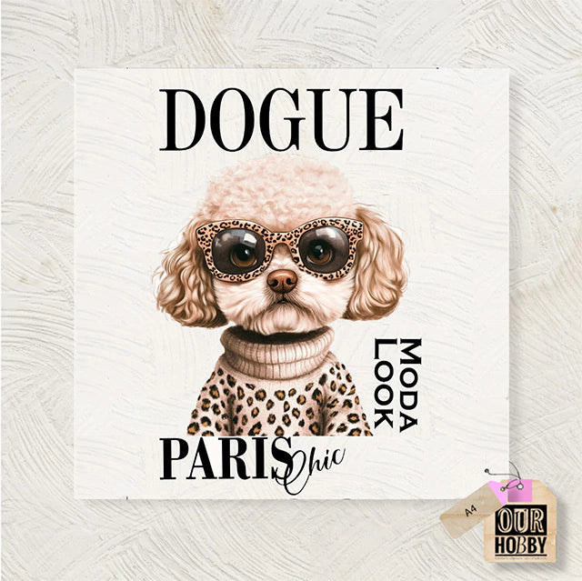 PER005 TRANSFER COLOR 20X30