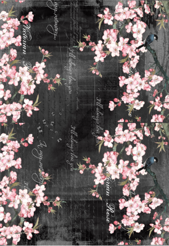 CERBLACK PAPEL DE SEDA 50X70