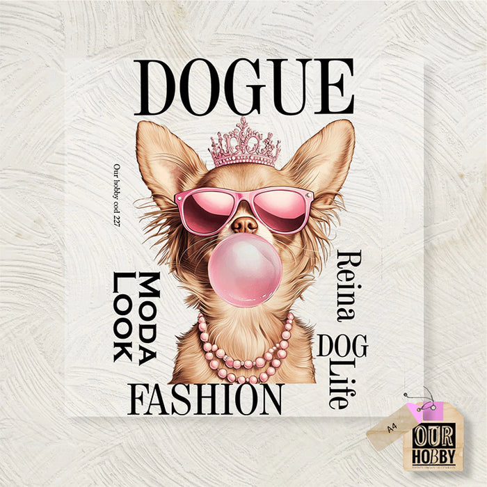 PER004 TRANSFER COLOR 20X30