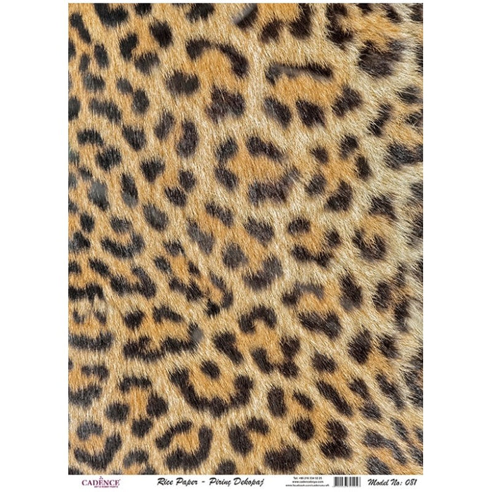 PAPEL DE ARROZ ANIMAL PRINT CADENCE 31X41CM PA081