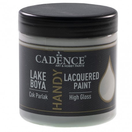 LACQUERED PAINT 250 ml GRAY L56